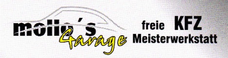 Mollos Garage: Ihre Autowerkstatt in Sagard